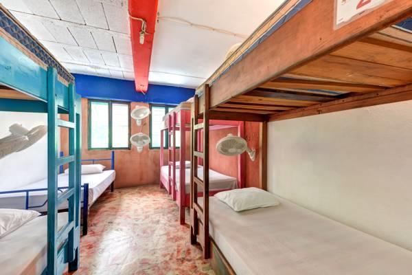 Hostel Playa Playa del Carmen Værelse billede